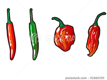 辣椒家族 91660395