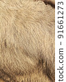 Donkey coat 91661273