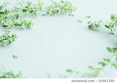 草本天然植物背景素材 91661308