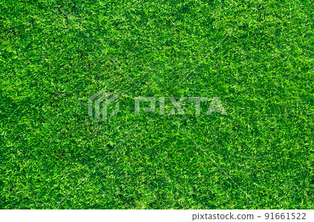 Green grass texture background Green grass texture background 91661522