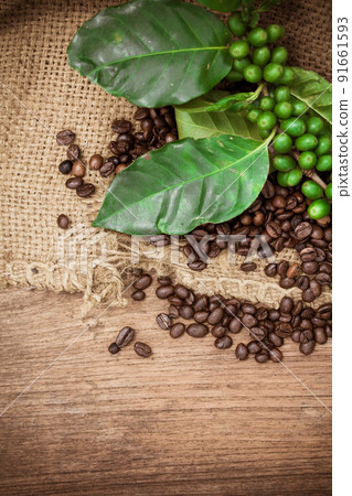 Fresh coffee beans on canvas texture background Fresh coffee beans on canvas texture background 91661593