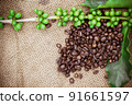Fresh coffee beans on canvas texture background 91661597