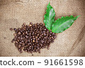 Fresh coffee beans on canvas texture background 91661598