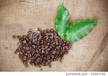 Fresh coffee beans on canvas texture background 91661598