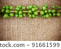 Fresh coffee beans on canvas texture background 91661599