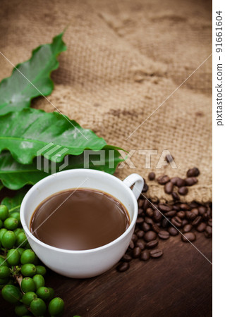 Cup coffee and beans on wood background Cup coffee and beans on wood background 91661604