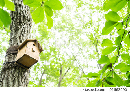 Birdhouse in the fresh green Birdhouse in the fresh green 91662990