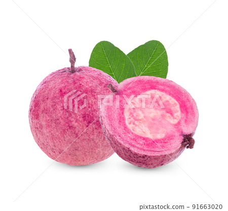 Red guava fruit isolated on white background 91663020
