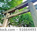 從下面向上看的牌坊和綠樹 91664493