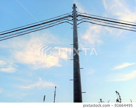 電線桿、藍天和白雲從下面向上看 91664495