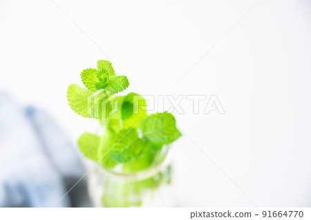 Mintha leaves in a glass 91664770