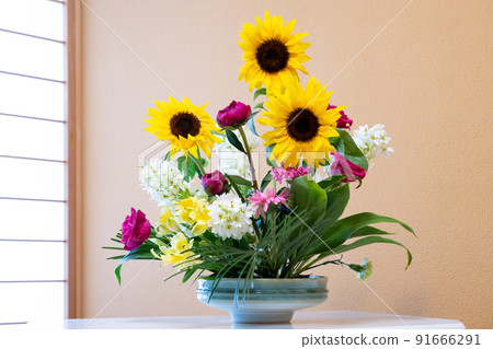 A flower living in a vase A flower living in a vase 91666291