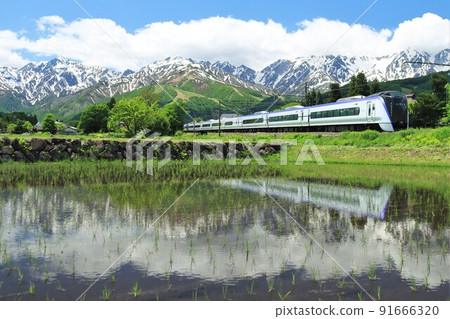 初夏在白馬運行的特快梓 91666320