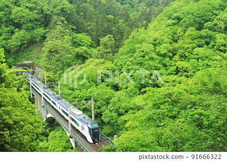Limited express Azusa running through the fresh green season 91666322