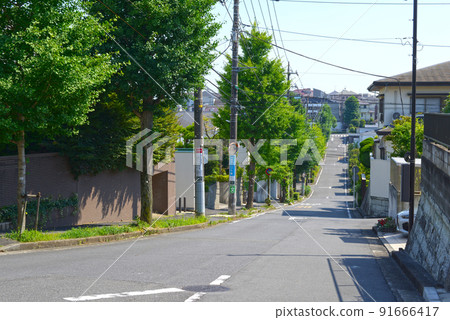 Summer suburban roadside trees in a residential area 91666417