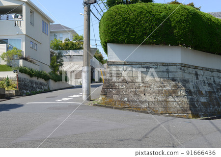 郊區住宅區的叉子 郊區住宅區的叉子 91666436