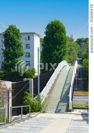 藍天下的昭和住宅區和有路邊樹的人行天橋 91666438