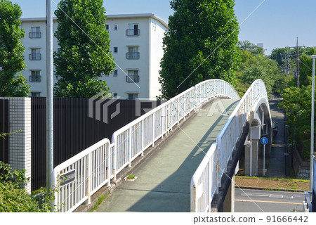 藍天和路邊樹下有住宅區的人行天橋 91666442