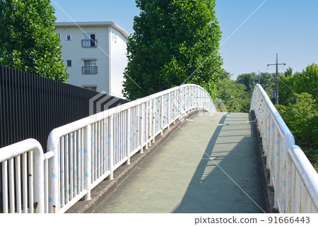 藍天和路邊樹下有住宅區的人行天橋 91666443