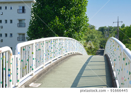 藍天和路邊樹下有住宅區的人行天橋 91666445