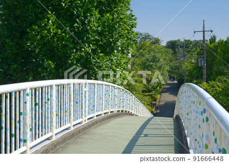 有藍天和路旁樹的步行橋 91666448