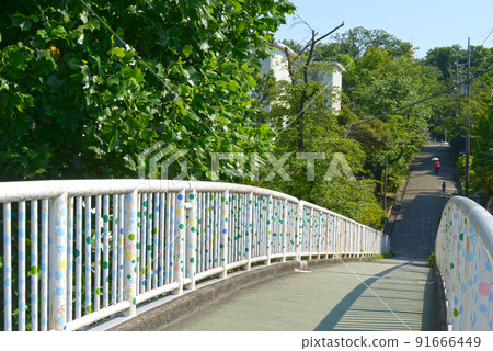 有藍天和路旁樹的步行橋 91666449