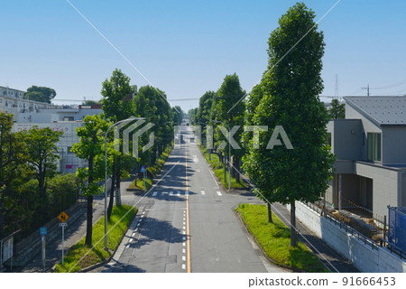 從藍天和人行天橋看郊區住宅區的主要街道 91666453