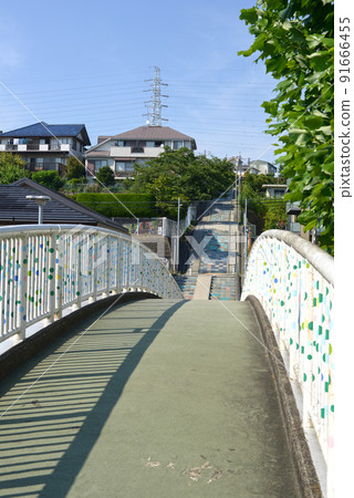 郊區住宅區的藍天和人行天橋 91666455