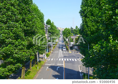 從藍天和人行天橋看郊區住宅區的主要街道 91666456