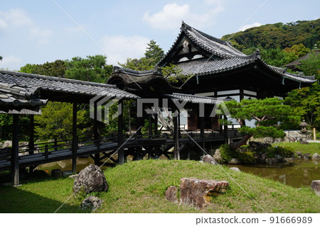 初夏的高台寺海山道和金月台 初夏的高台寺海山道和金月台 91666989
