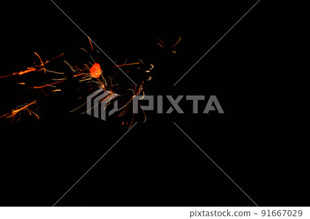 Sparkler  91667029