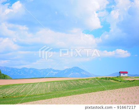 Superb view of Hokkaido Biei Red roof hut and Daisetsuzan federal scenery Superb view of Hokkaido Biei Red roof hut and Daisetsuzan federal scenery 91667217