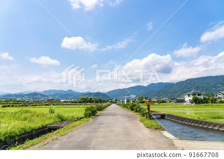 [Kanagawa Prefecture] Rural scenery spreading in Kaisei Town 91667708