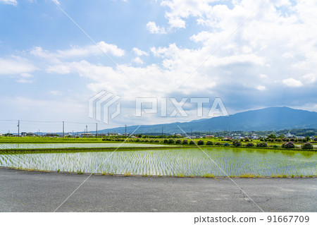 [Kanagawa Prefecture] Rural scenery spreading in Kaisei Town 91667709