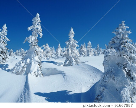 Blue and white world 91667897