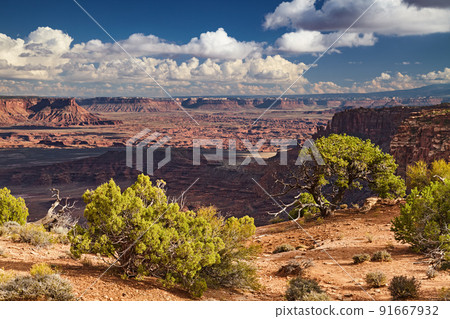 Canyonlands National Park, USA Canyonlands National Park, USA 91667932