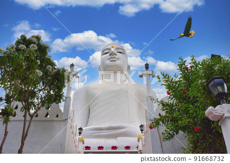 Sri Lanka Candy Cityscape Sri Lanka Candy Cityscape 91668732