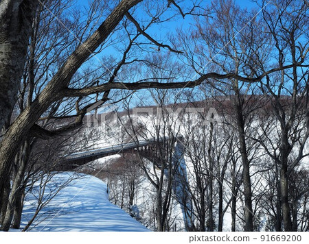 Jogakura Bridge seen through the forest Jogakura Bridge seen through the forest 91669200