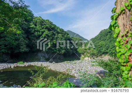 [Doshi River and fresh green along the auto campsite] 91670793