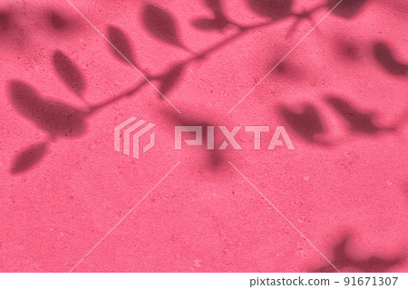 Shadow of leaves on pink concrete wall texture background Shadow of leaves on pink concrete wall texture background 91671307