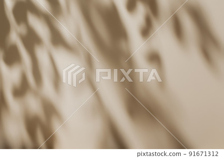 Shadow of leaves on solid beige wall texture background Shadow of leaves on solid beige wall texture background 91671312