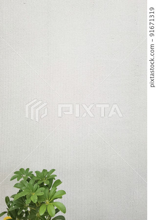 close up of green leaves close up of green leaves 91671319