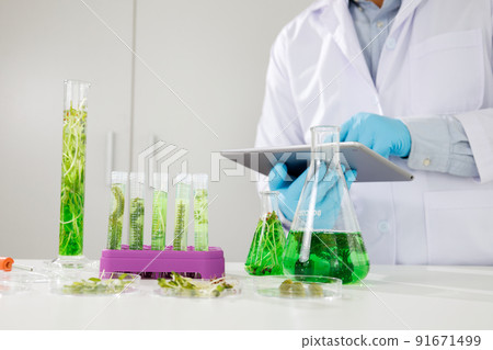 research scientist team working  research and Biotech science Photobioreactor in laboratory of algae fuel, biofuel sustainable biochemical 91671499