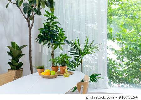 houseplant indoor plant decoration_flowerpots, table houseplant indoor plant decoration_flowerpots, table 91675154
