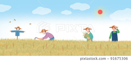 Mangjong event in Korea, farmers harvesting in autumn 91675306