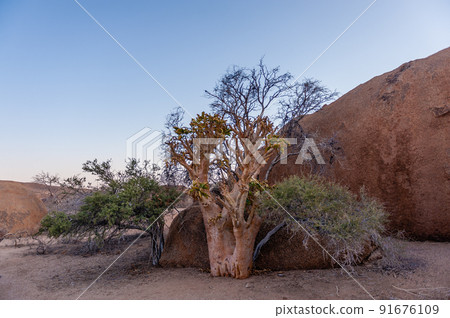 The Spitzkoppe area around sunset The Spitzkoppe area around sunset 91676109