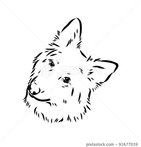 pedigree dog drawn in ink by hand without a... - Stock Illustration ...