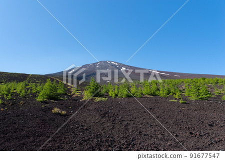 Hiking while looking at Mt. Fuji Hiking while looking at Mt. Fuji 91677547