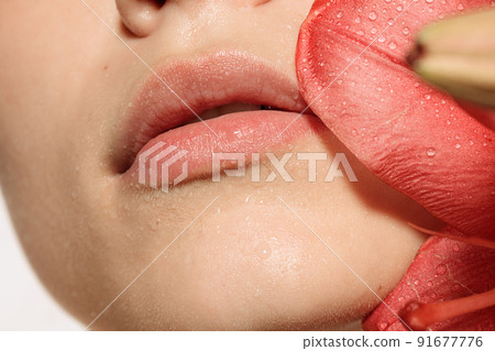 Closeup female lips and pink rose petals isolated over white studio background. Concept of cosmetology, skincare, cosmetics, plastic surgery, ad 91677776