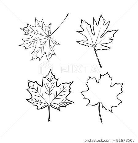 fall leaf clipart, black and white leaf drawing, vector clipart fall leaf clipart, black and white leaf drawing, vector clipart 91678503